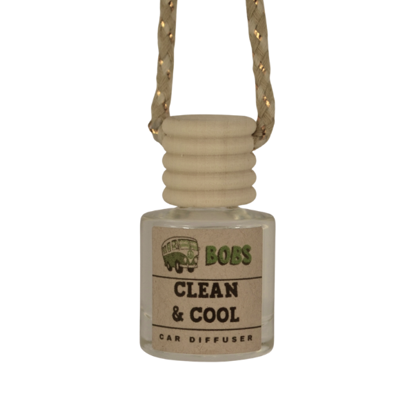 Clean & Cool Hanging Car Diffuser